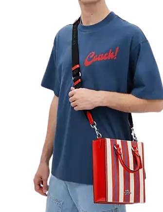 Coach Dylan Tote Bag with Stripe Print - Stylish Women's Designer Handbag for Work, Travel & Everyday Use | Premium Leather Shoulder Bag