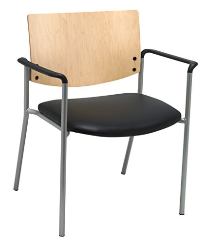 Black Anti-bacterial Vinyl