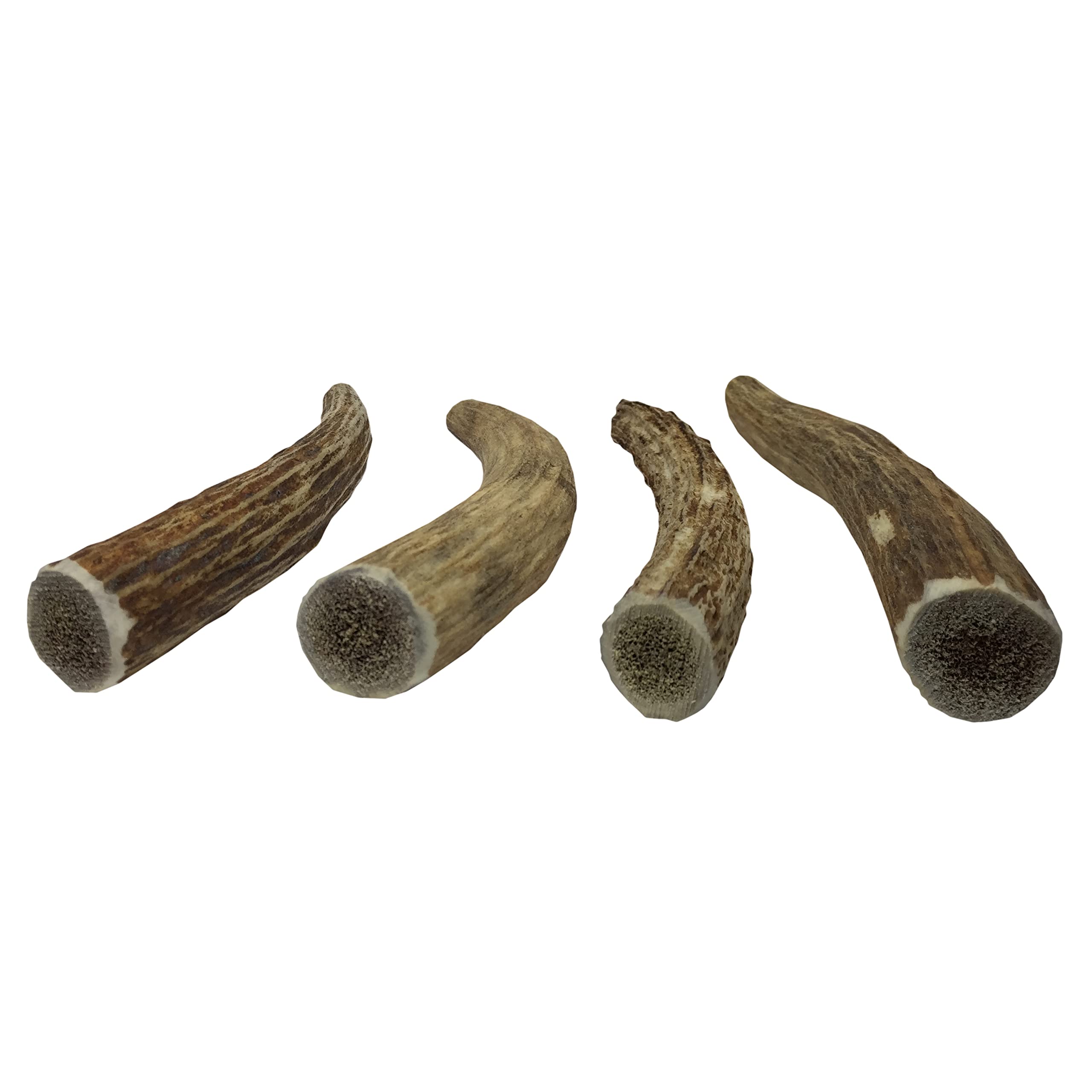 Premium USA-Collected Elk Antler Chews for Dogs - All Natural, A-Grade, Naturally Shed | Medium Whole Antlers (4-Pack) | Long-Lasting Dental Chew for Aggressive Chewers & Puppy Teething Relief