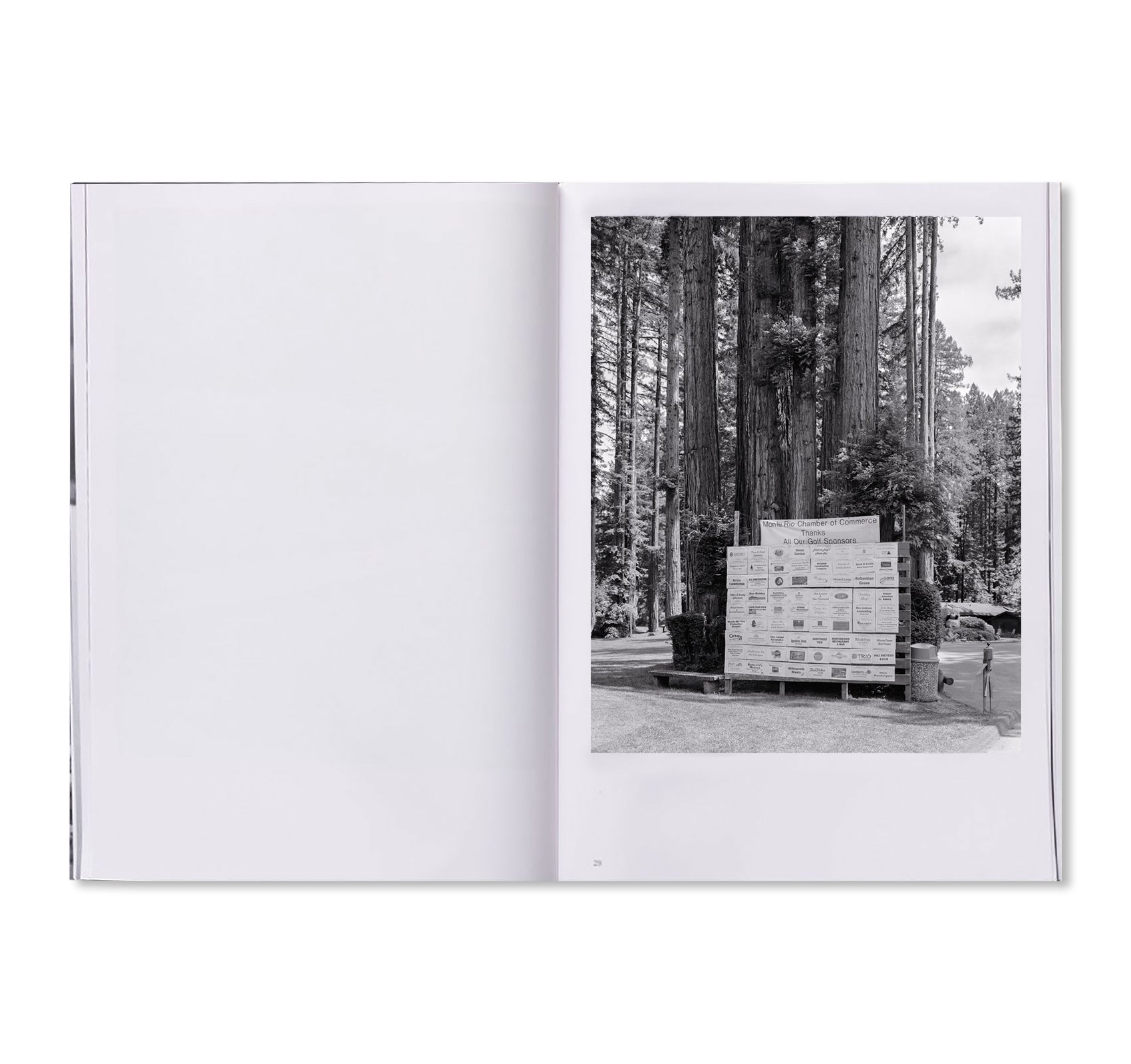 Parliament of Owls by Jack Latham - Signed Photography Book - Perfect for Art Collectors & Nature Enthusiasts