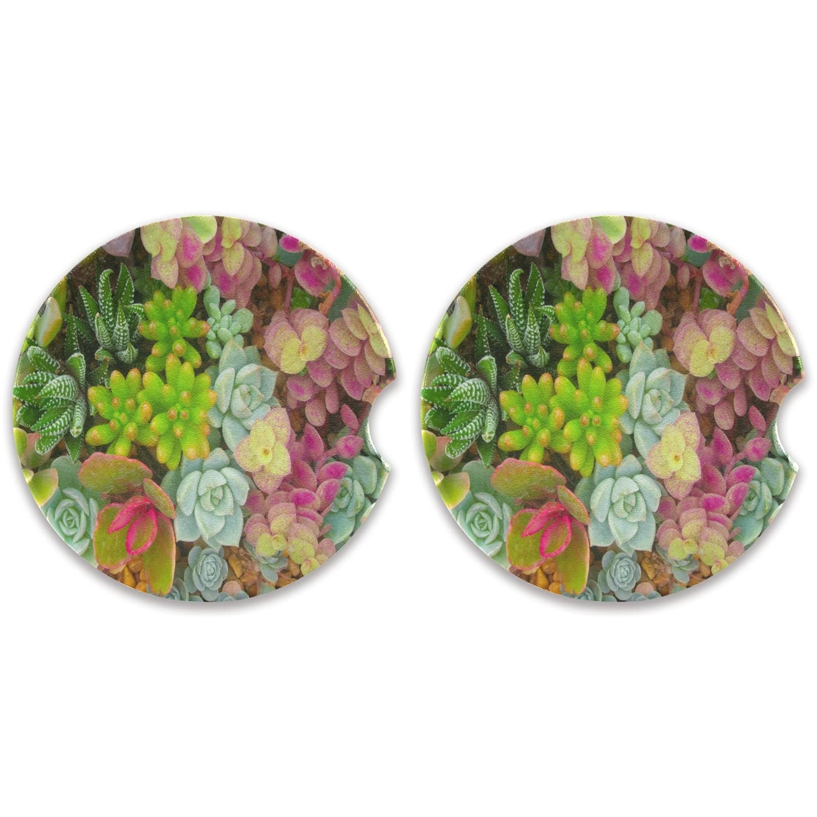 2 Pack Miniature Succulents Car Coasters - Absorbent Ceramic Cup Holder Coasters with Fingertip Grip, 2.5 Inch - Perfect for Cars, Trucks, and RVs