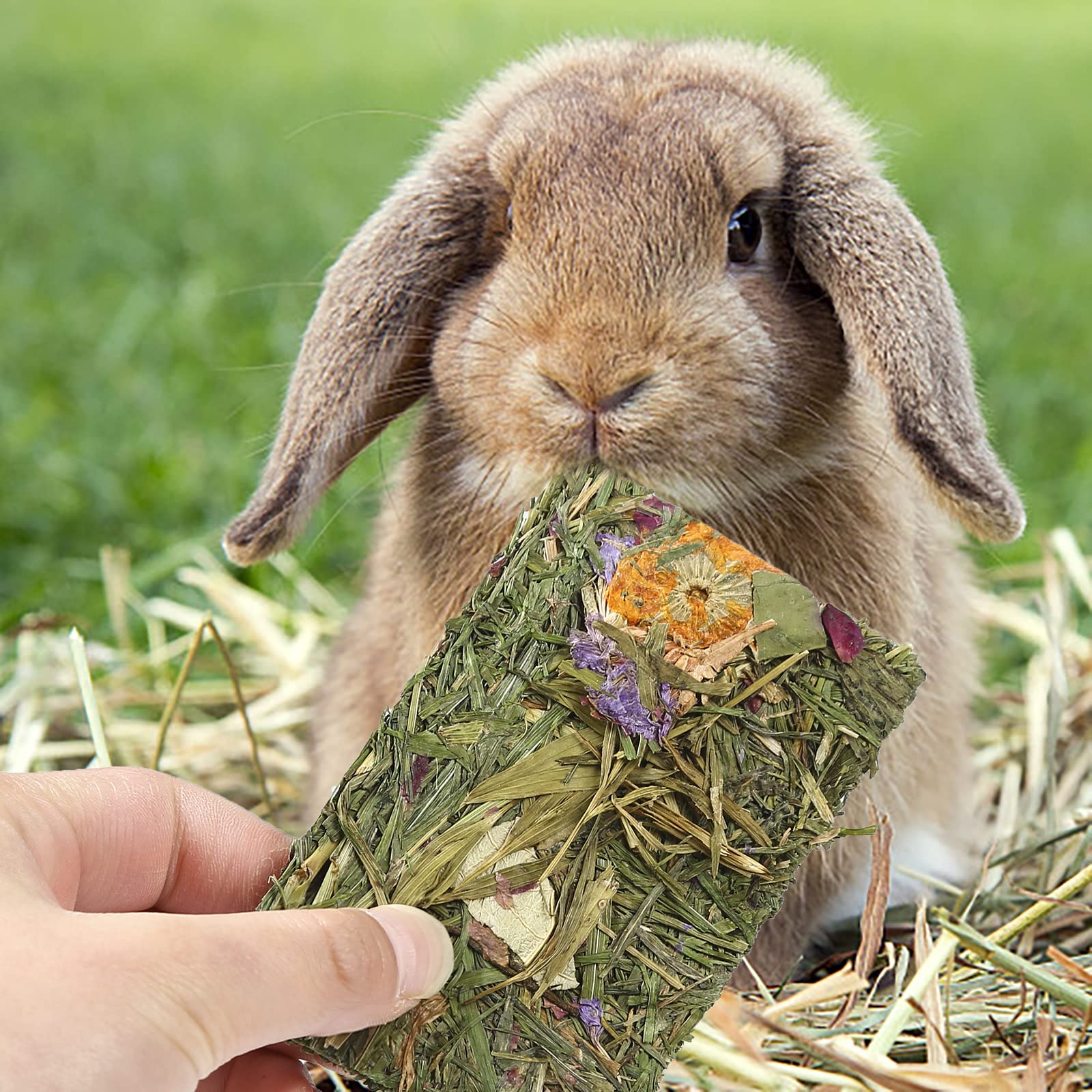 Natural Timothy Hay Chew Treats for Rabbits, Chinchillas, Guinea Pigs & Hamsters - Dental Health Small Animal Snacks - Perfect for Cage Enrichment & Chewing Instincts (5-Pack)