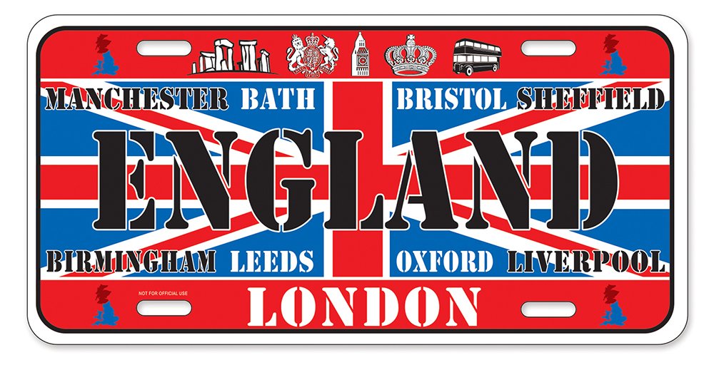 Dimension 9 Home Decorative Plates - Large English Style Wall Plates for Dining Room & Kitchen Decor