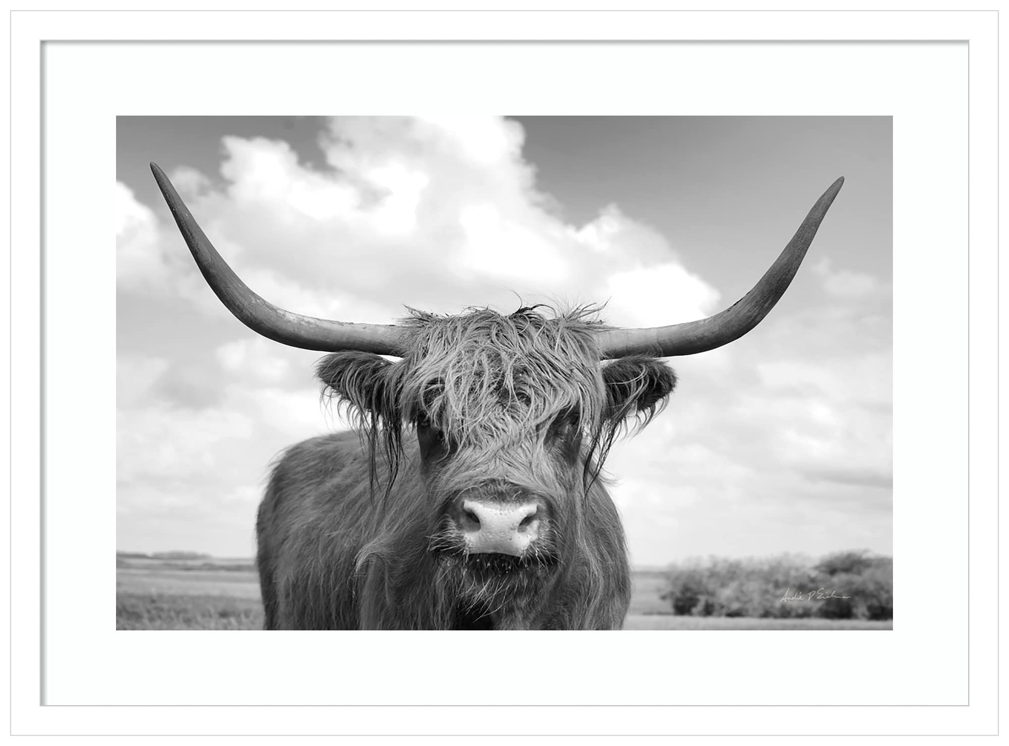Amanti Art Framed Wall Art Print - 19x25 Highland Cow On the Ranch by Andre Eichman | Rustic Farmhouse Animal Painting | Countryside Decor for Living Room, Bedroom, Bathroom | Perfect for Western Theme & Ranch Style Homes