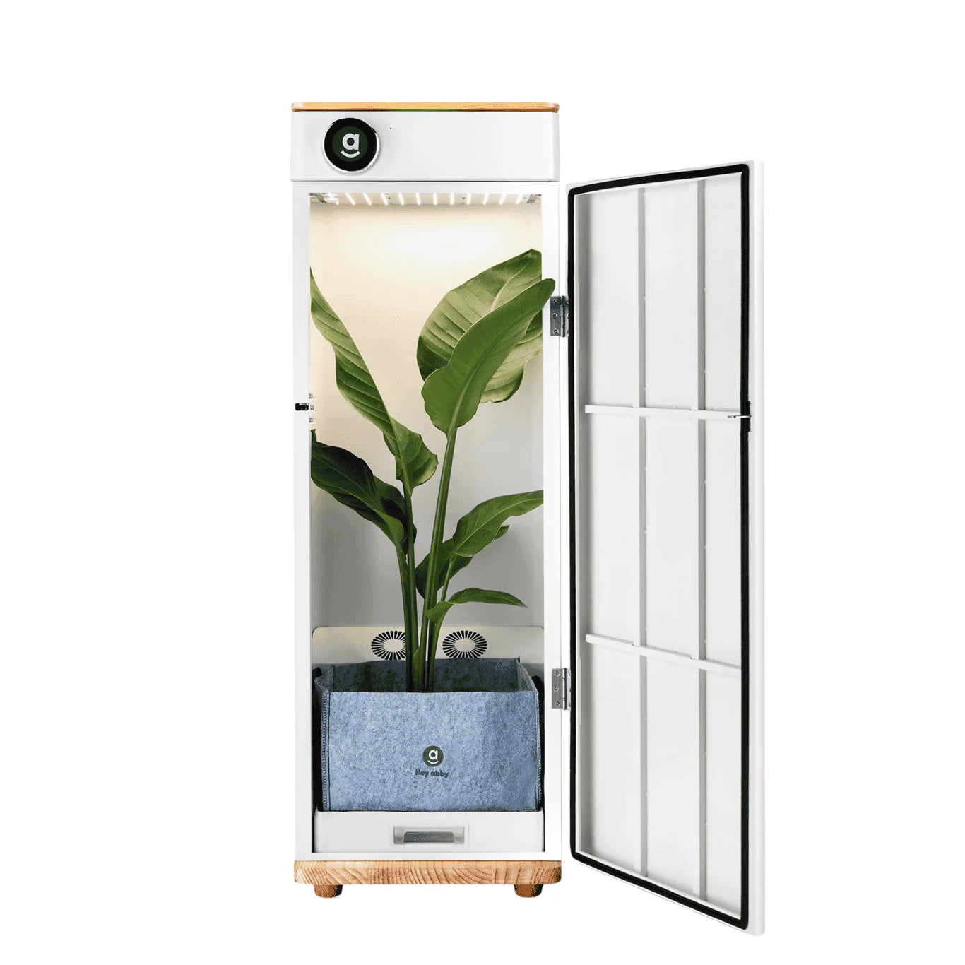 Hey abby Soil Edition Automated Grow Box System - Indoor Hydroponic Gardening Kit with 3-Month Subscription - Perfect for Home, Office & Small Space Herb Planting