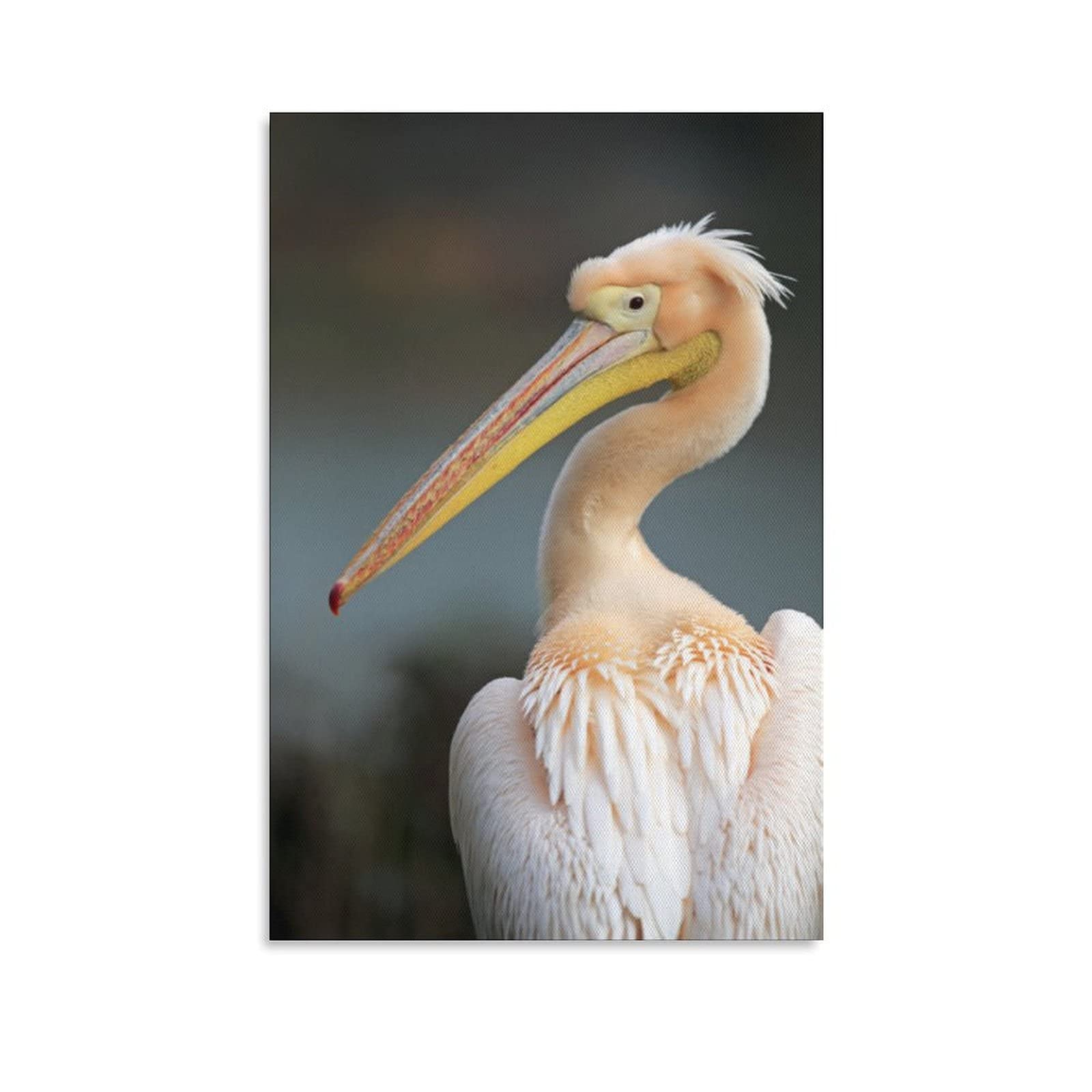 Great White Pelican Canvas Wall Art - Beautiful Bird Painting for Living Room, Bedroom & Office Decor - Nature Landscape Poster Gift for Animal Lovers