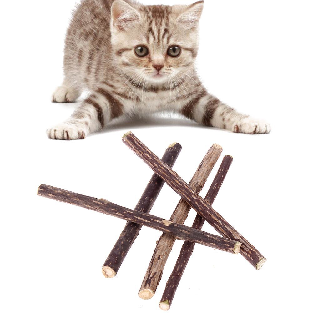 5 PCS Cat Teeth Grinding Chew Toys with Catnip - Dental Care Molar Snack Sticks for Kittens & Adult Cats - Perfect for Teething, Stress Relief and Playtime
