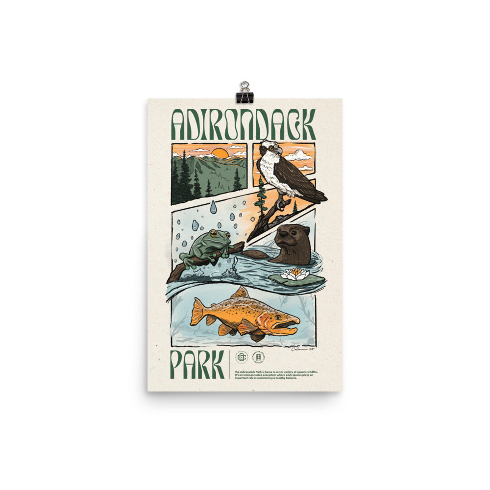 Adirondack Ecosystem Poster - 2nd Edition | Nature Wall Art for Home & Office Decor | Perfect for Classrooms, Living Rooms & Nature Lovers
