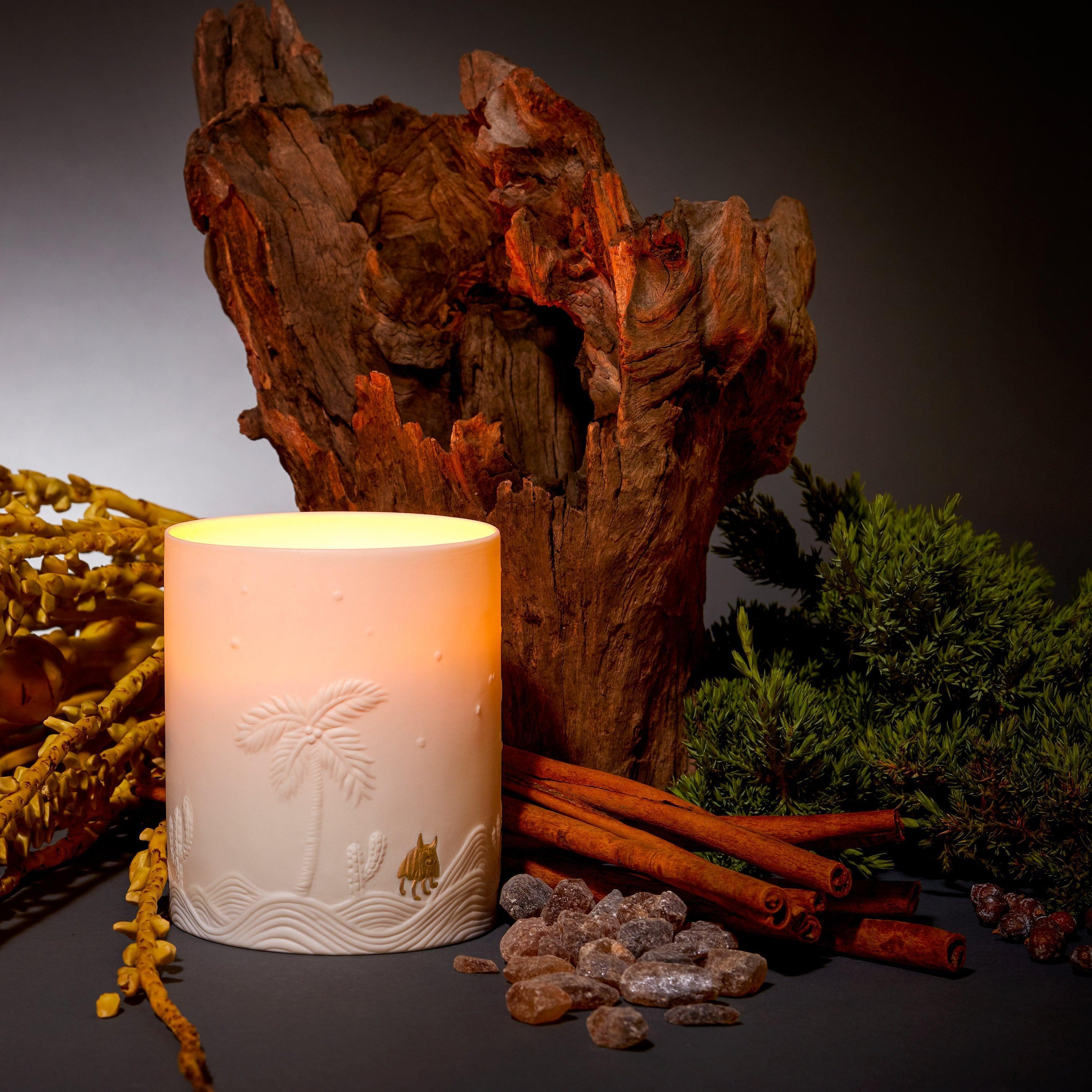 Haas Mojave Palm Candle - Natural Soy Wax Scented Candle for Home & Relaxation | Perfect for Aromatherapy, Meditation, and Cozy Evenings