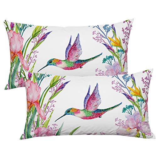 Tropical Birds