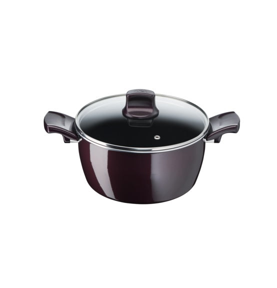 Tefal Resist Intense 24cm Stewpot - Heavy Duty Stainless Steel Cooking Pot with Lid for Soups, Stews & Slow Cooking - Perfect for Home Chefs & Professional Kitchens