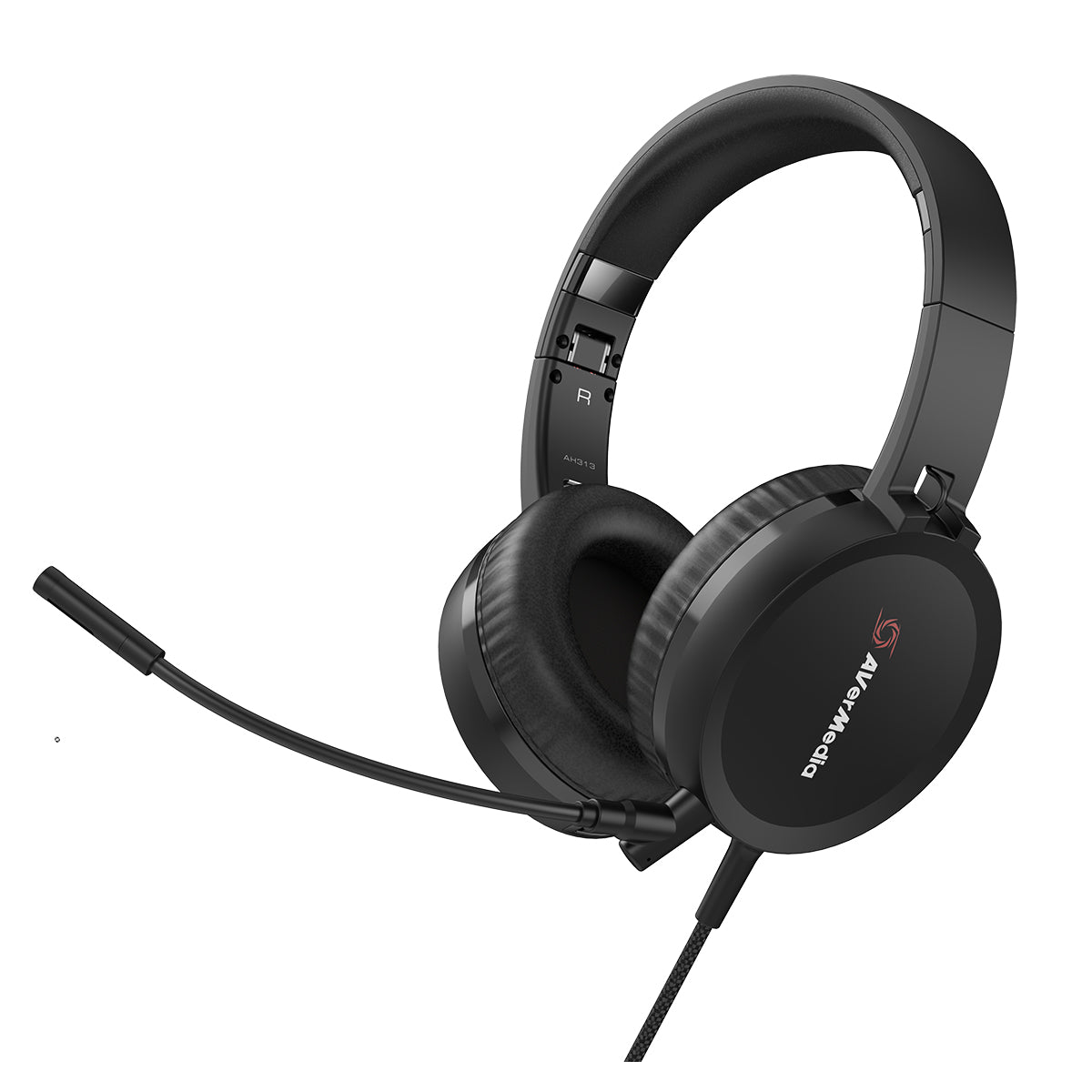 AVerMedia BO317 Video Conference & Teaching Kit - Perfect for Online Meetings, Remote Learning, and Webinars