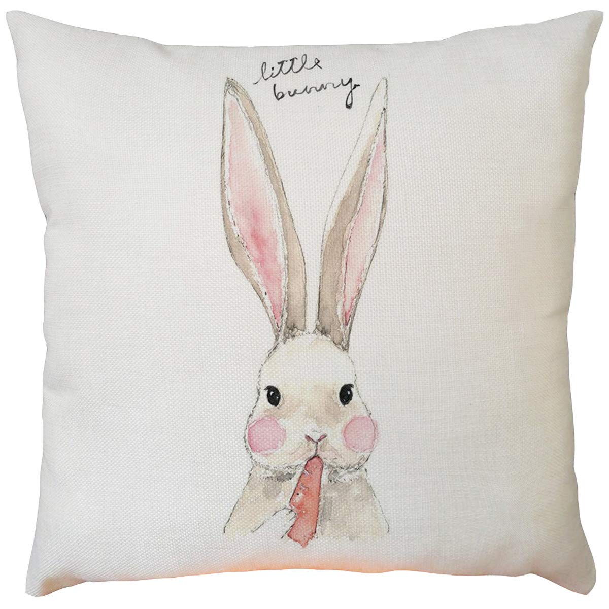 Premium Blue Spa Pillow Cases - Easter Bunny & Pineapple Print Cushion Covers for Sofa, Bed & Home Decor | Soft Decorative Pillow Shams for Living Room, Bedroom & Seasonal Festivals
