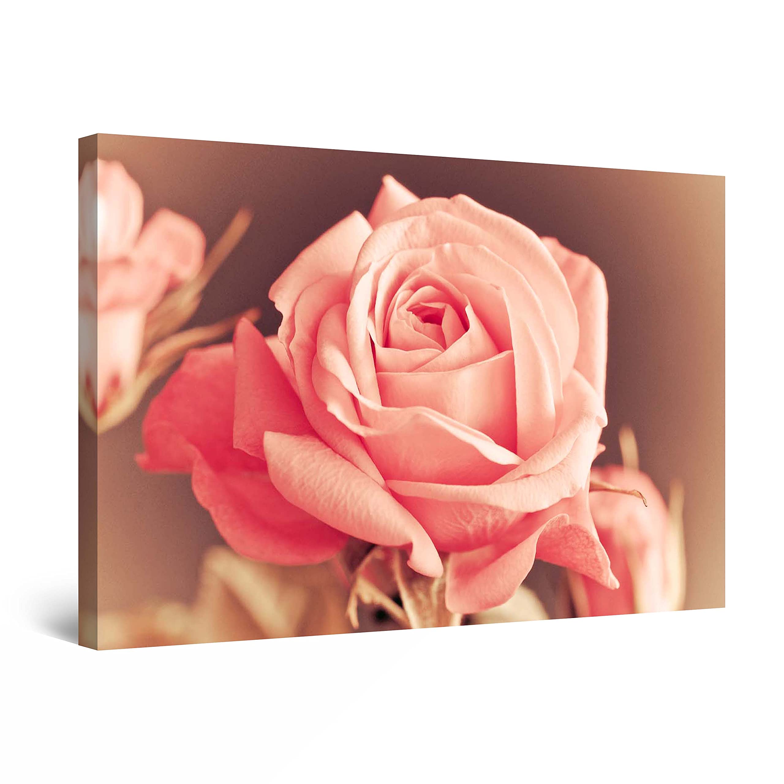 Startonight Abstract Pink Rose Flower Canvas Wall Art - Large Framed 32x48 Inches - Perfect for Living Room, Bedroom & Office Decor