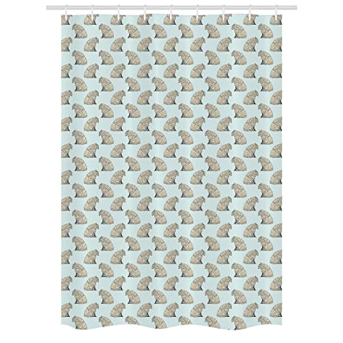 Eggshell and Pale Blue