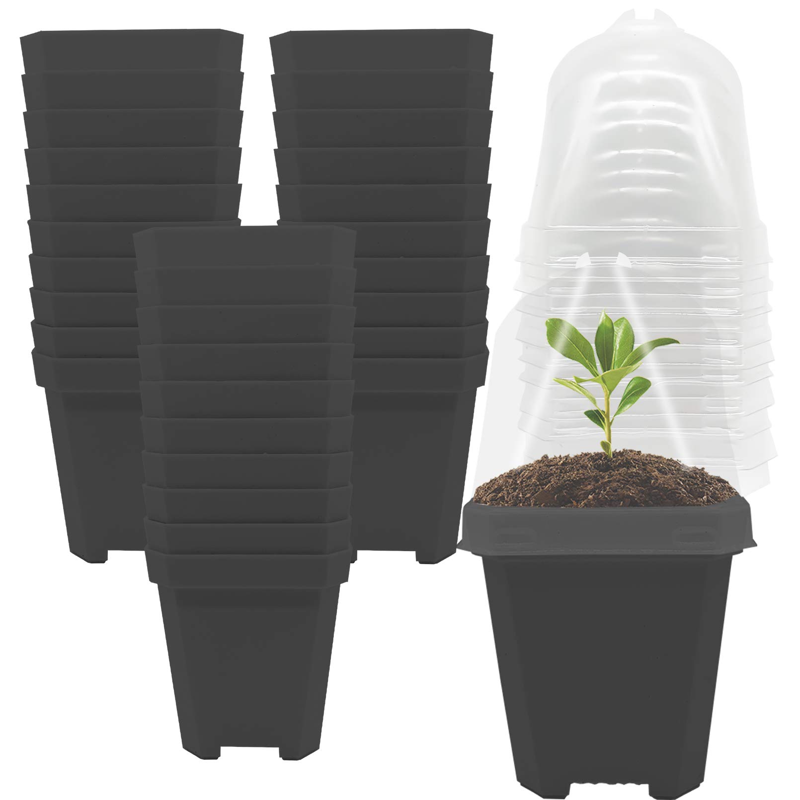 EBaokuup 30PCS Small Plastic Square Plant Nursery Pots with Humidity Dome - Seed Starter Trays, Flower Planting Containers for Indoor/Outdoor Gardening - Perfect for Herbs, Succulents & Seedlings Growth