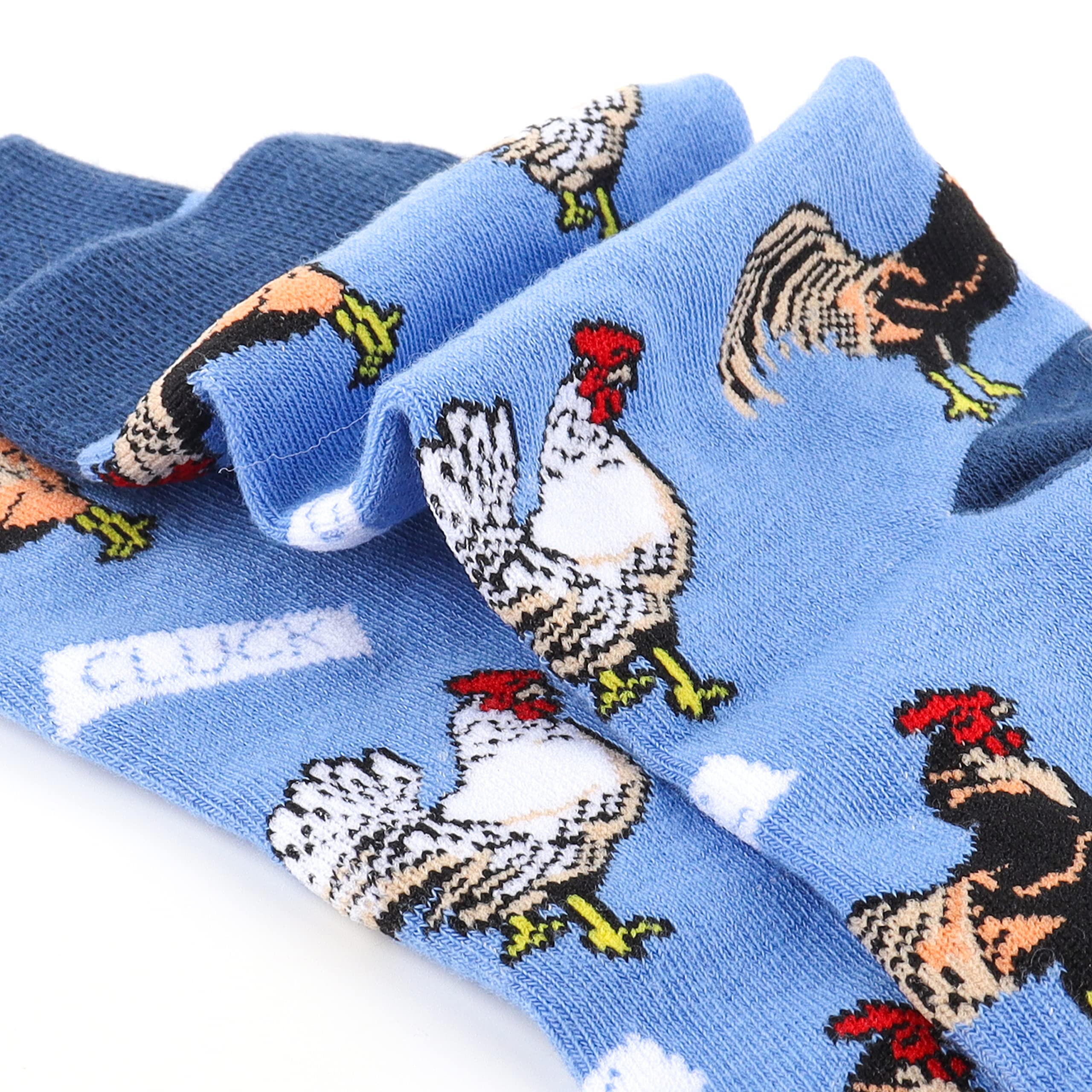 Funny Cute Socks for Women - 5 Pairs Pack | Moyel Women's Novelty Socks | Perfect Gift for Her | Great for Casual Wear, Gifts & Special Occasions