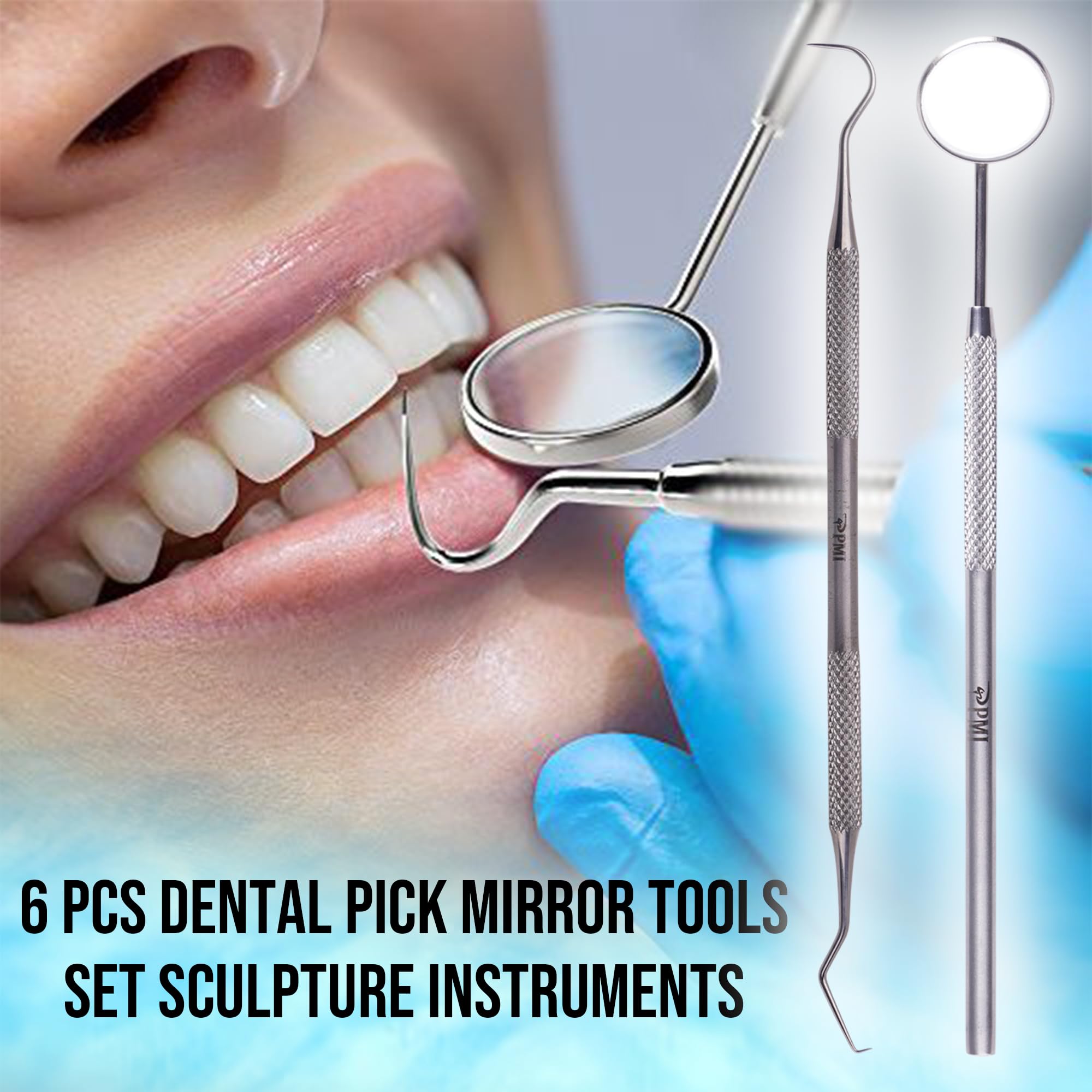 Professional Stainless Steel Dental Tools Kit - 6 PCS Teeth Cleaning Set with Plaque Remover, Dental Pick & Tooth Scraper | Oral Hygiene Care for Dentists & Home Use | Perfect for Travel & Daily Dental Maintenance