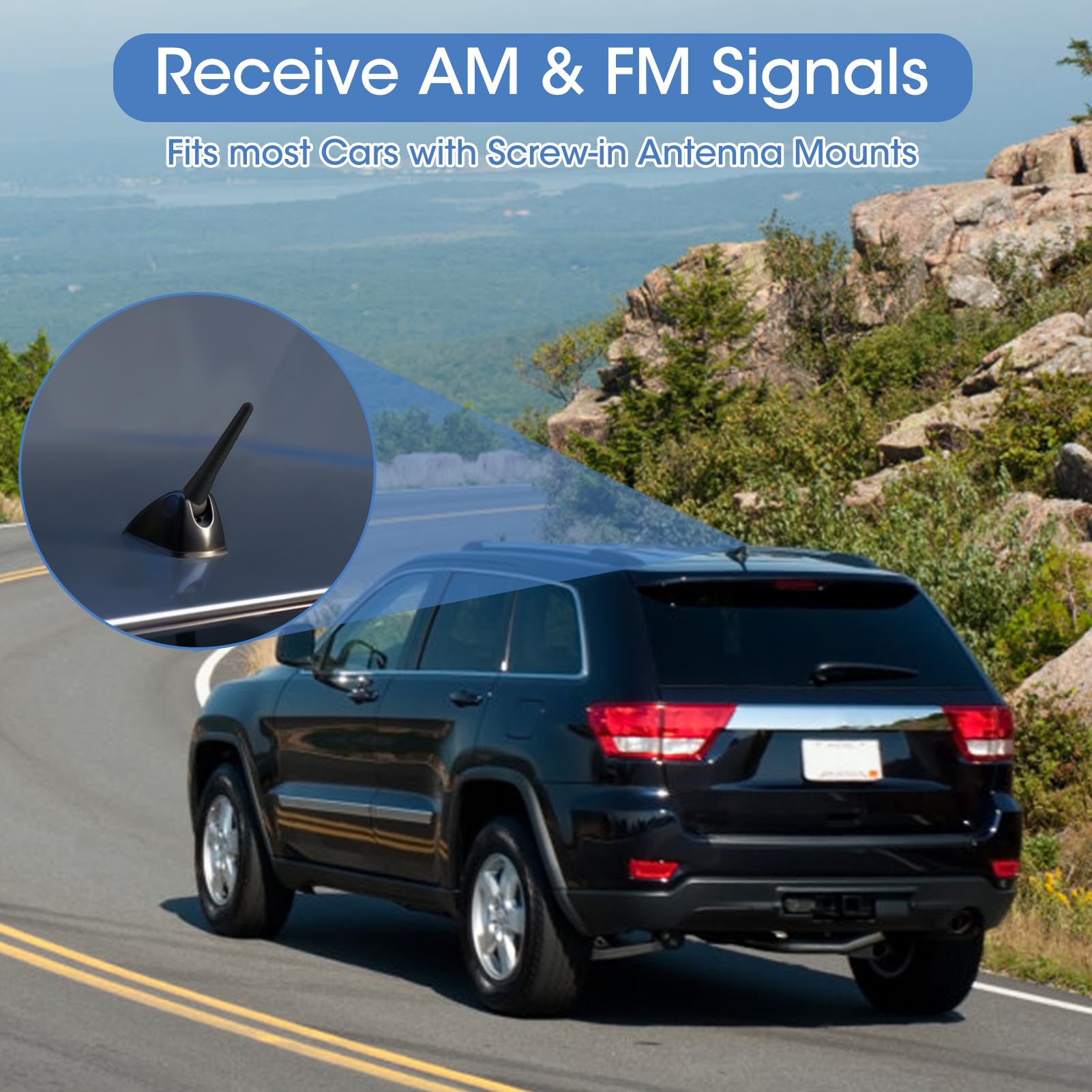 6.5cm Mini Universal Short Car Antenna - FM/AM Radio Reception with M4/M5/M6 Screws - Compatible with All Car Models, Trucks & Vehicles | Compact Design for Improved Signal & Stylish Look