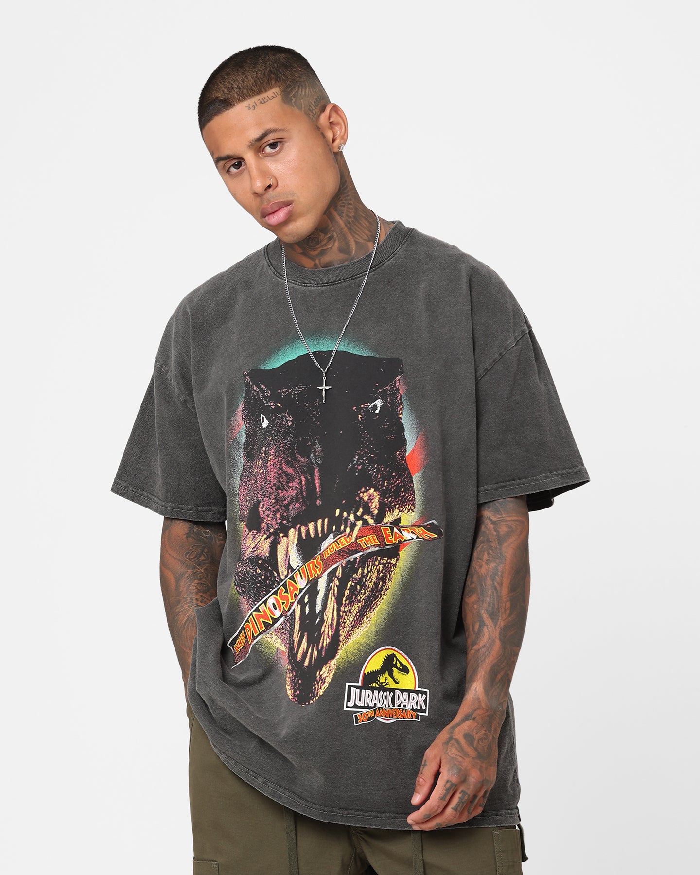American Thrift Jurassic Park 30th Anniversary Vintage Heavyweight T-Shirt - Black Wash | Retro Movie Tee for Fans, Casual Wear & Pop Culture Enthusiasts