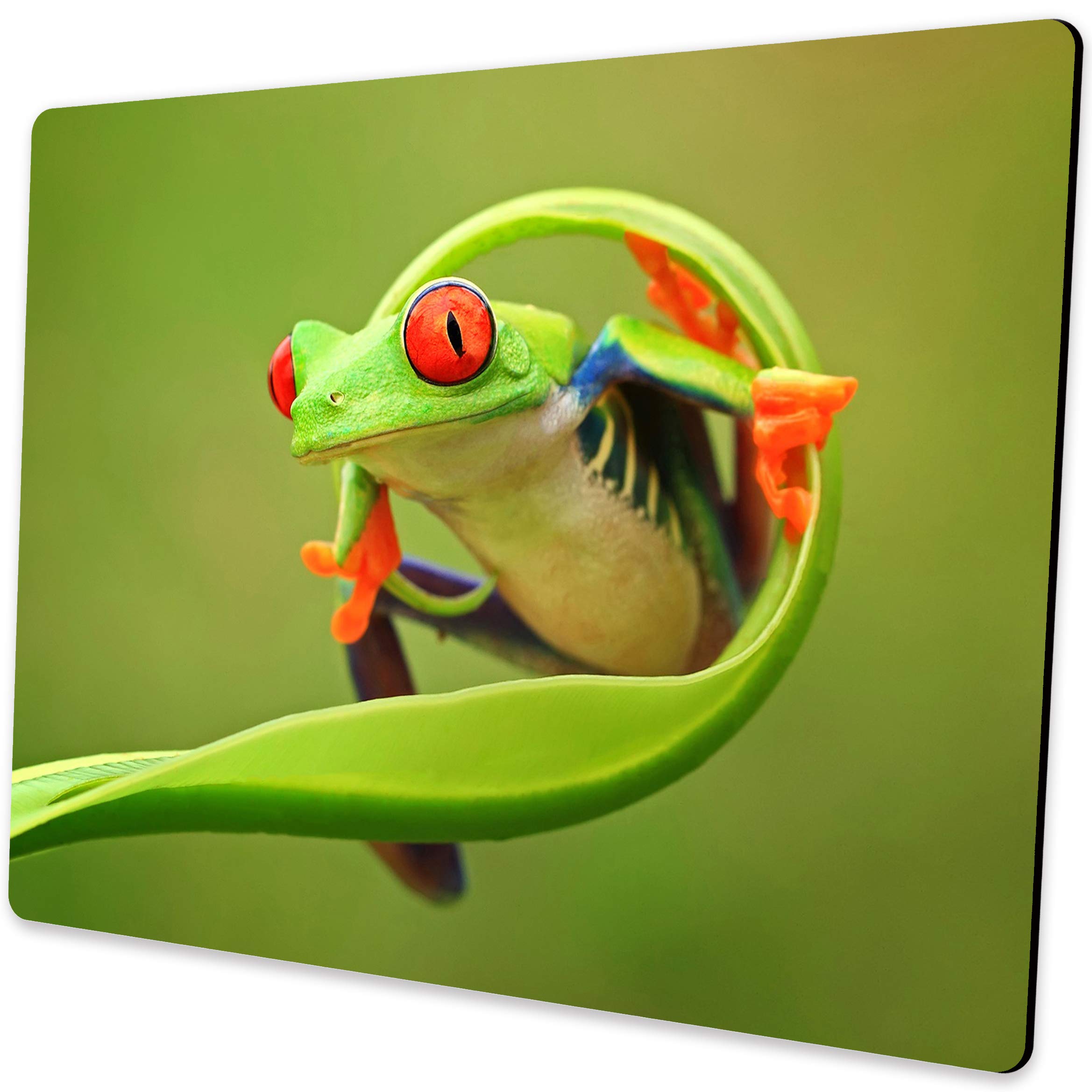 Cute Frog Green Mouse Pad - Non-Slip Rubber Base Washable Small Mousepad 9.5