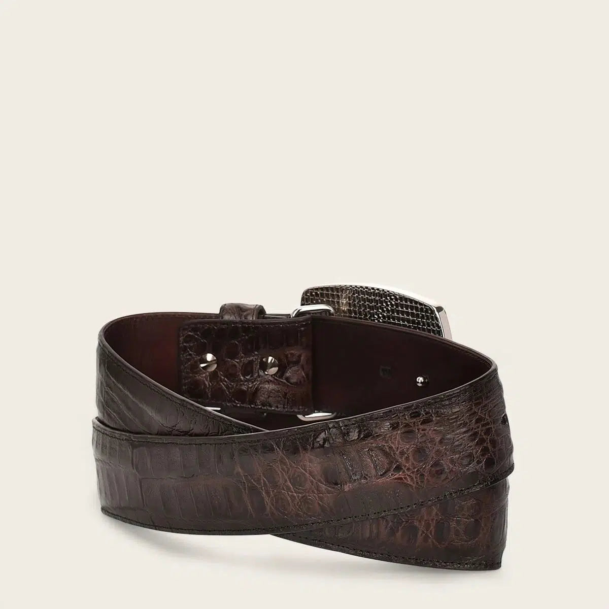 Premium Men's Caiman Leather Western Belt - Genuine Exotic Skin Fashion Accessory for Cowboy Boots & Jeans | CV499FC Chocolate Brown