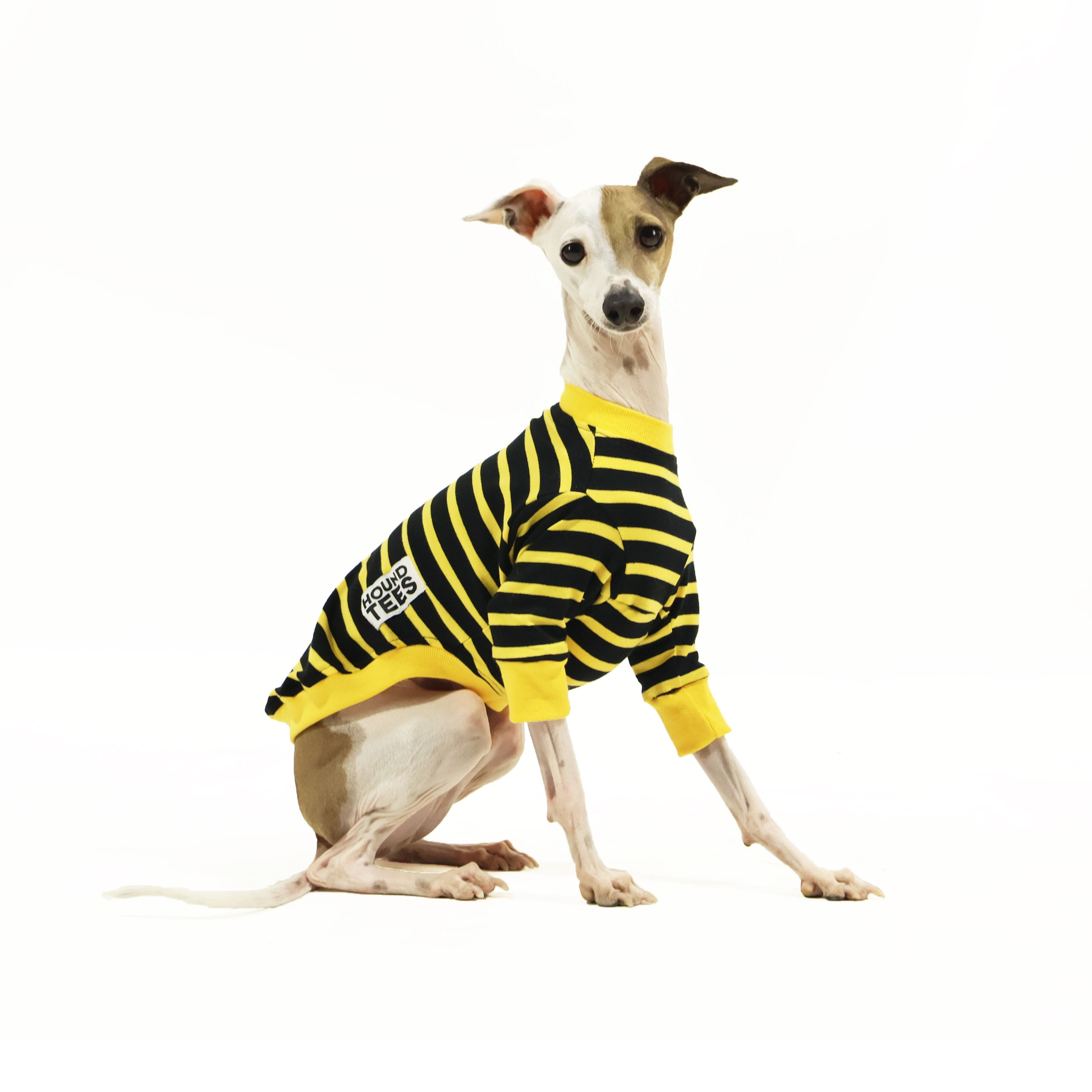 Bumble Italian Greyhound Long Sleeve Hound Tee - Cute Dog Lover Shirt for Women & Men - Perfect for Casual Wear, Dog Walks & Pet Owner Gifts