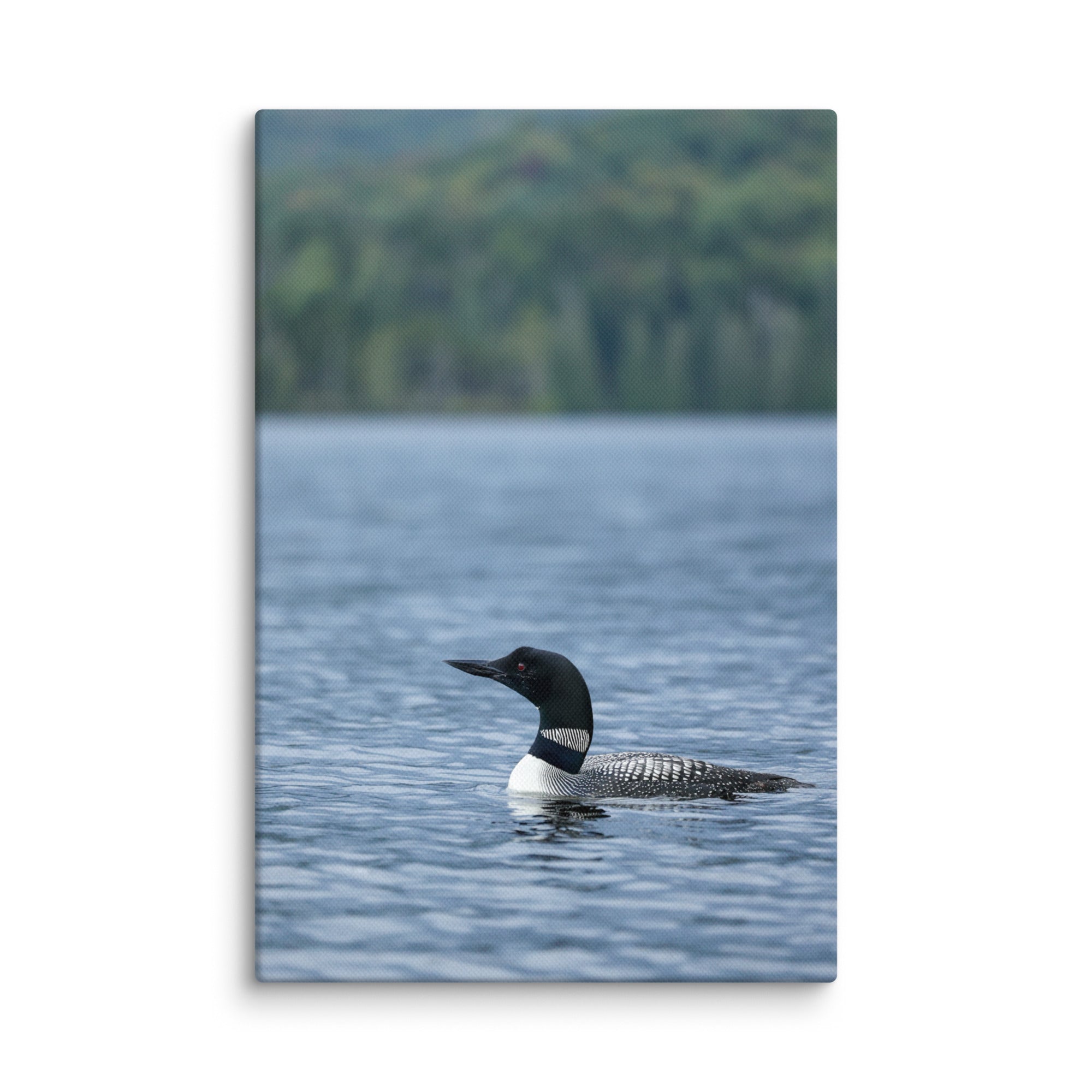 Premium Canvas Wall Art | Adirondack Loon Painting - Nature Inspired Home Decor for Living Room, Bedroom & Office