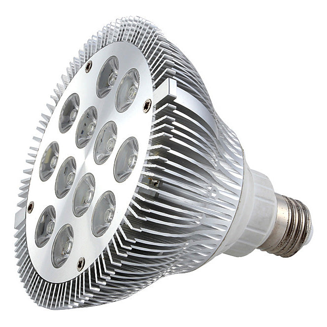 12W (12x1W) PAR38 LED Bulb with E26/E27 Base - 90W Halogen Equivalent - 100-240V AC - Silver Housing - Indoor Use for Recessed Lighting, Track Lights, and Display Cases