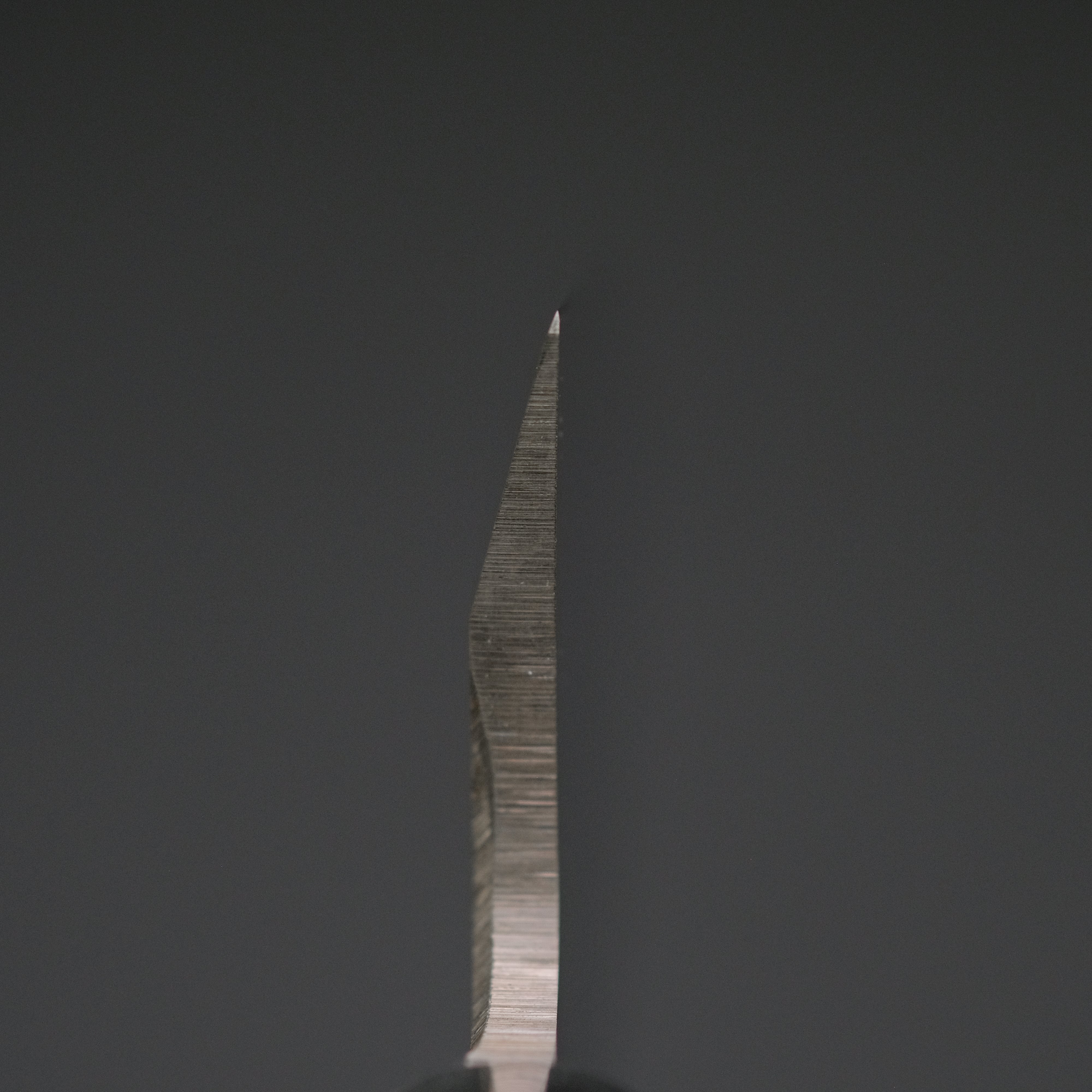Hitohira Hiragana Deba 150mm Japanese Chef Knife with Pakka Wood Handle - No Bolster - Perfect for Sushi, Fish Filleting & Precision Kitchen Tasks