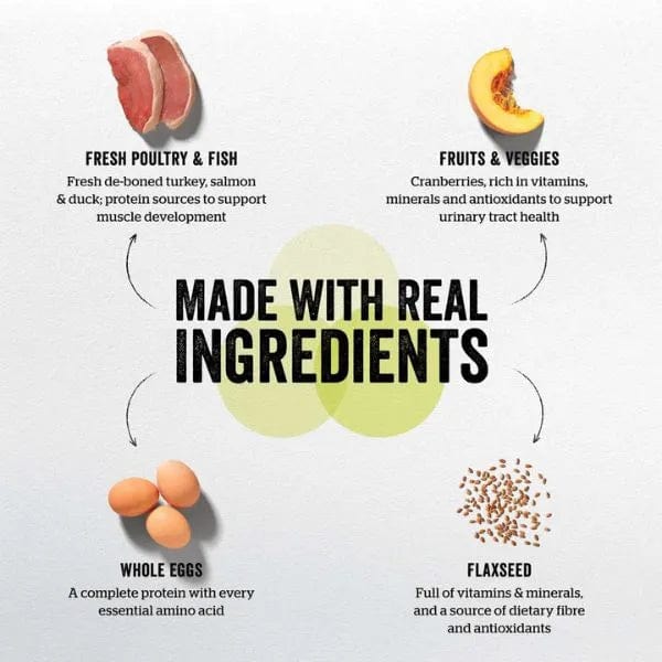Now Fresh Turkey, Salmon & Duck Recipe Small Breed Puppy Dry Dog Food - Grain-Free, High-Protein Kibble for Toy & Mini Dogs - Perfect for Active Puppies, Training Treats & Sensitive Stomachs