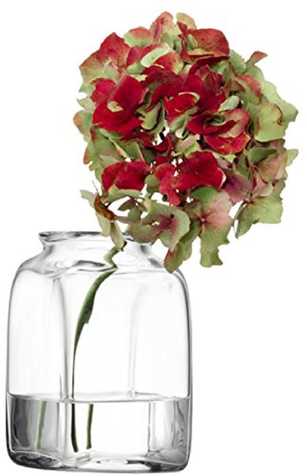LSA International 14cm Clear Umberto Glass Vase - Modern Home Decor for Flowers, Centerpieces & Wedding Arrangements