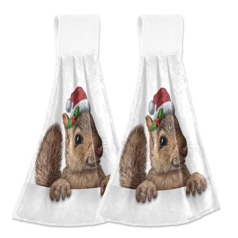 Christmas Squirrel