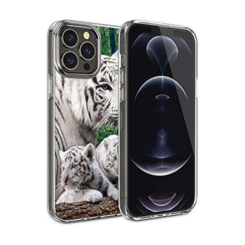 Majestic Animal Cute White Tiger