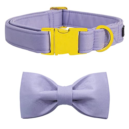 suit-Violet