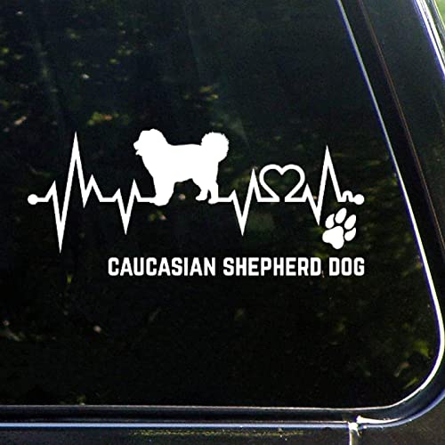 Caucasian Shepherd