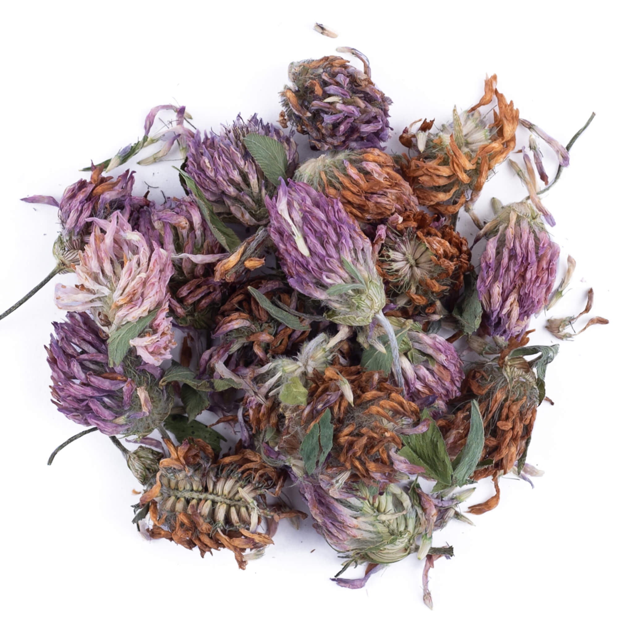 Organic Red Clover Blossoms for Tea & Herbal Remedies - Natural Wellness & Detox Support - Perfect for Tea Blends, Tinctures & Skin Care