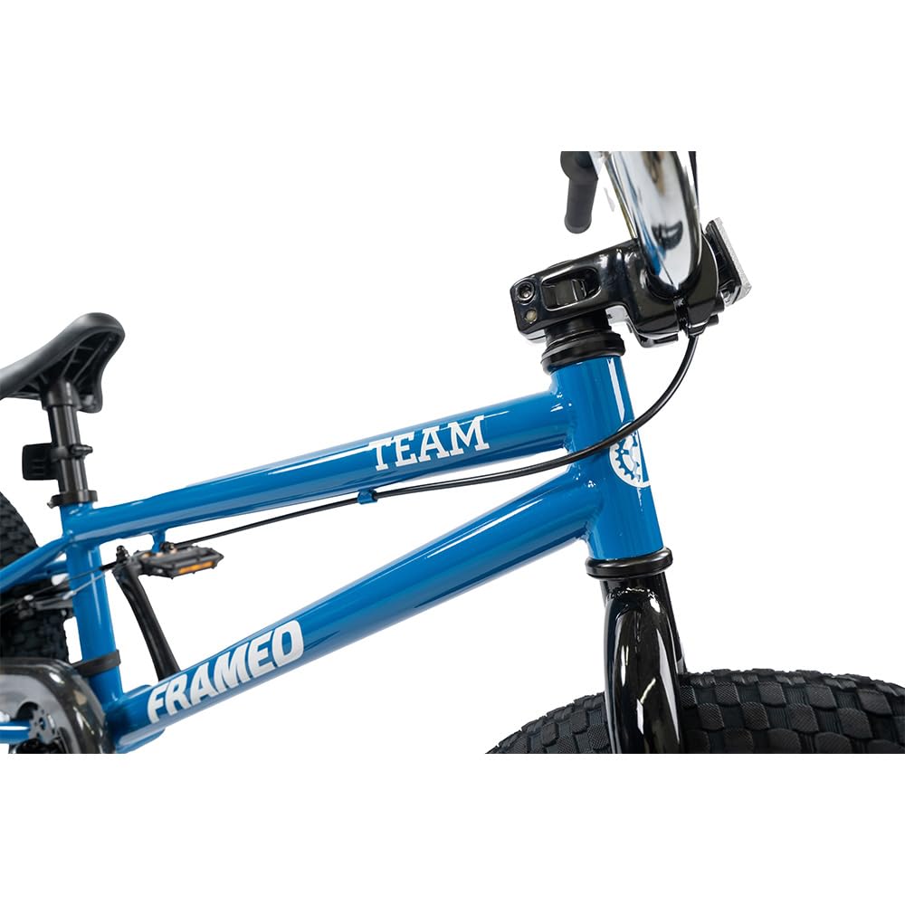 20in BMX Bike for Kids & Teens - Lightweight Steel Frame, Durable Design for Stunts & Tricks - Perfect for Skate Parks, Backyard Riding & Street Performance