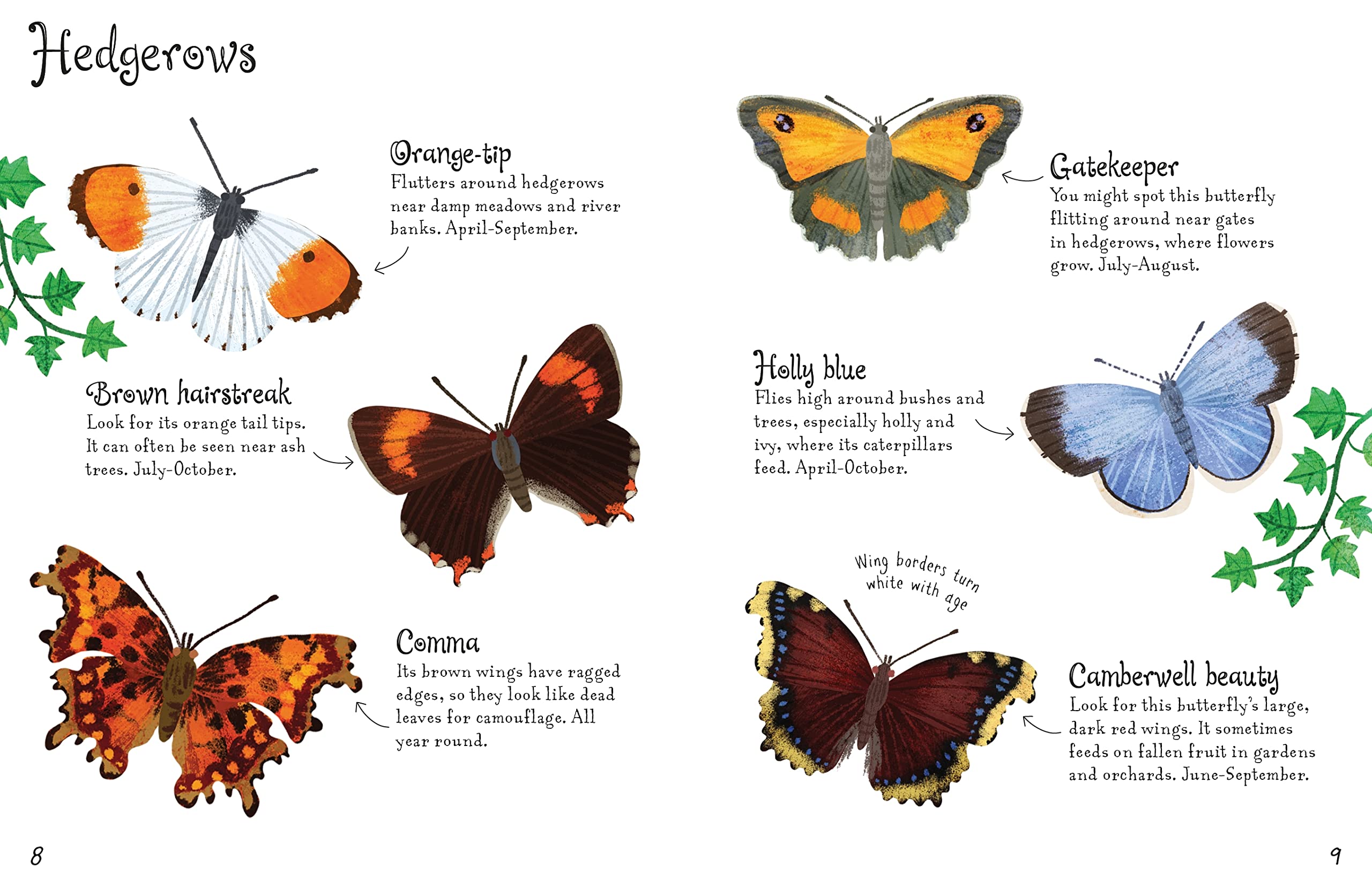 Butterflies to Spot (Usborne Mini Books): 1 (Usborne Minis) - Compact Field Guide for Butterfly Watching, Nature Exploration & Outdoor Activities