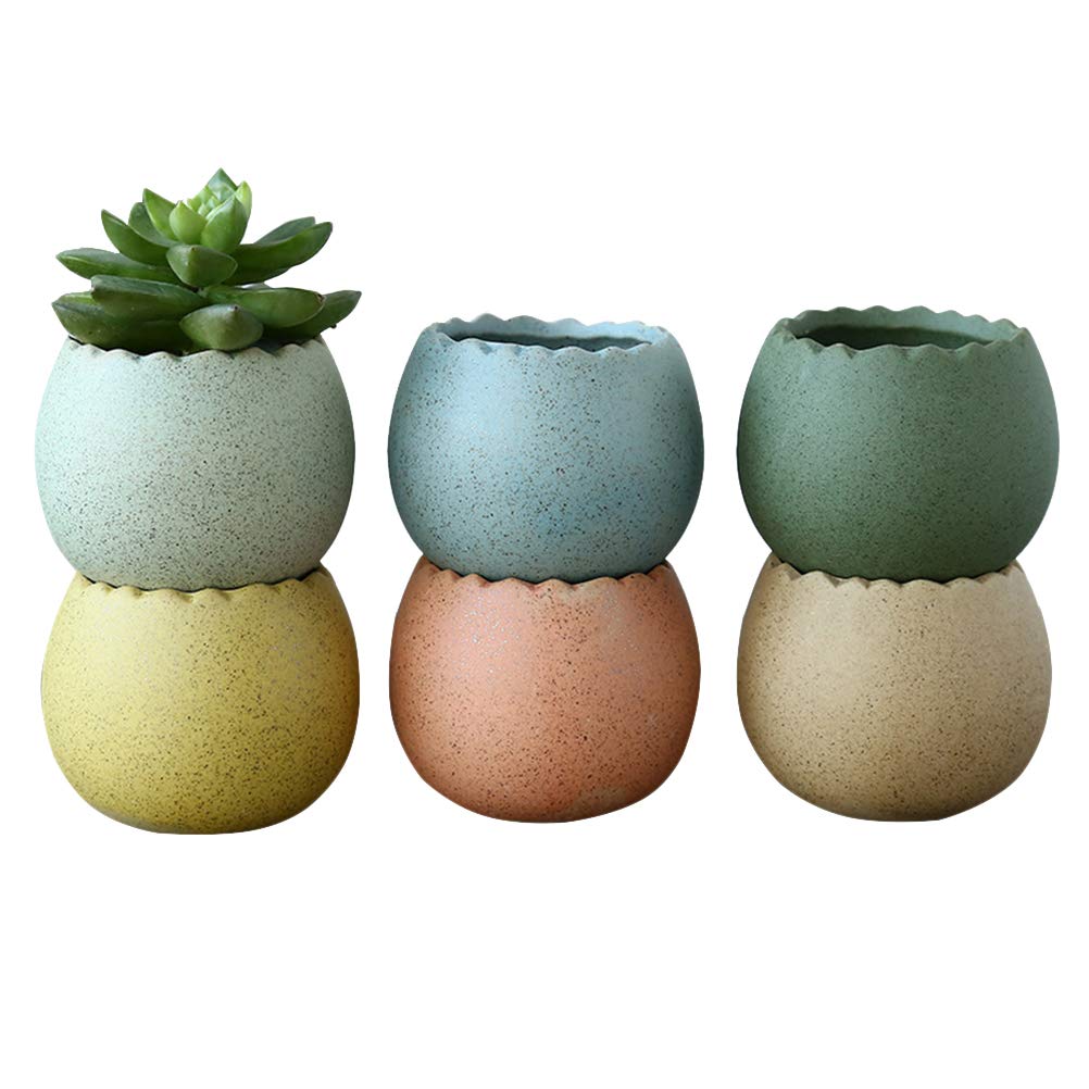 DOITOOL 6-Pack Mini Ceramic Succulent Pots - Cracked Eggshell Design Stylish Planters for Indoor & Outdoor Plants | Perfect for Home Decor, Office Desk, Garden, and Gifts