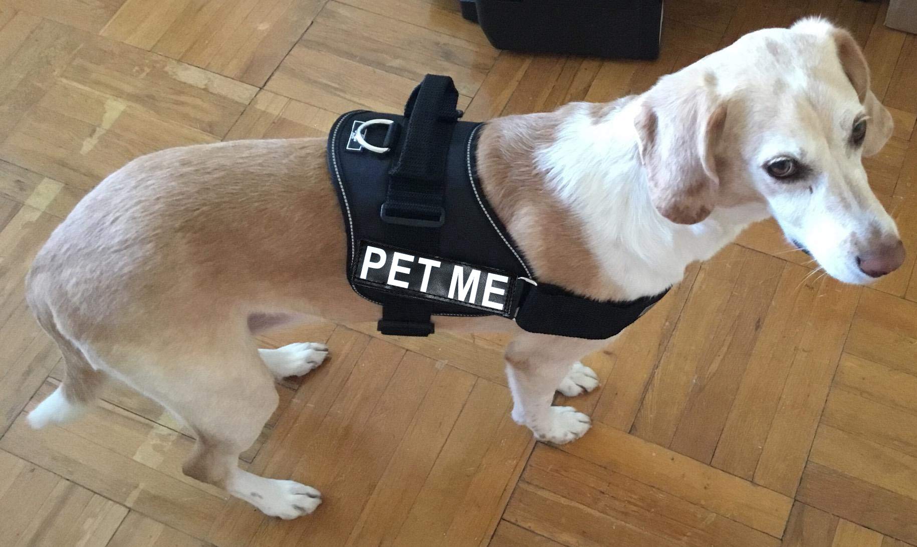 Doggie Stylz Adjustable Dog Harness with Removable Patches & Reflective Trim - Includes 2 PET ME Hook & Loop Patches for Safety (14