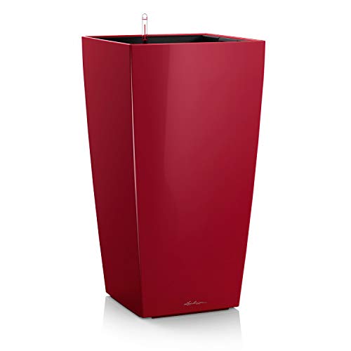 Scarlet Red High Gloss