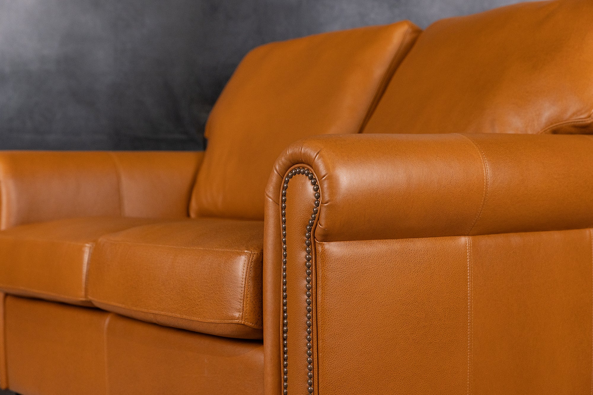 Luxury Coral Leather Loveseat Sofa - Genuine Leather 2-Seater Couch for Living Room, Lounge & Office - Modern Comfortable Furniture for Home Decor