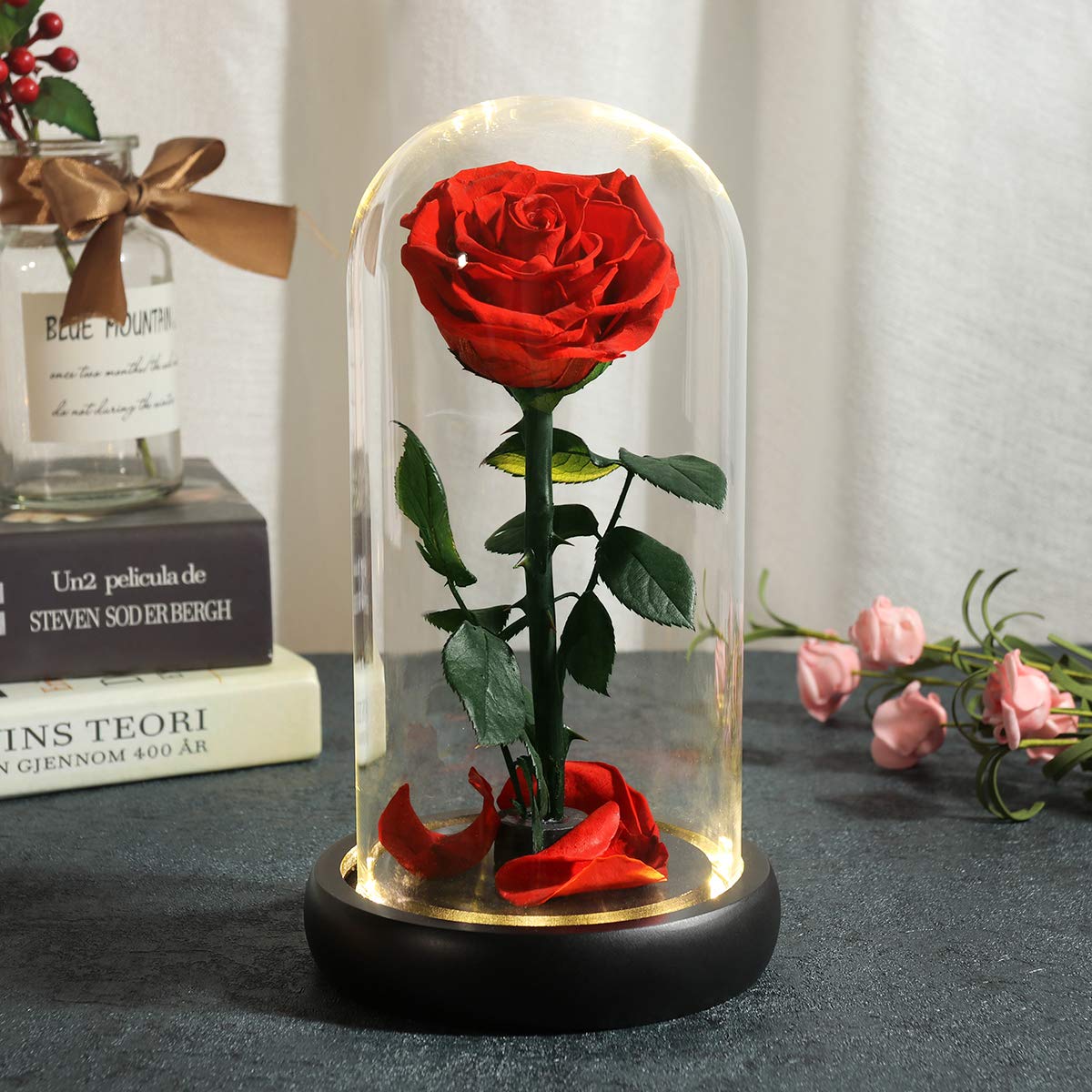 Mother's Day Flower Gifts - Beauty and The Beast Rose in Glass Dome with Warm LED Light, Preserved Real Forever Rose Gift for Women, Mom, Wife, Grandma, Girlfriend - Perfect for Anniversary, Birthday, Valentine's Day & Home Decor