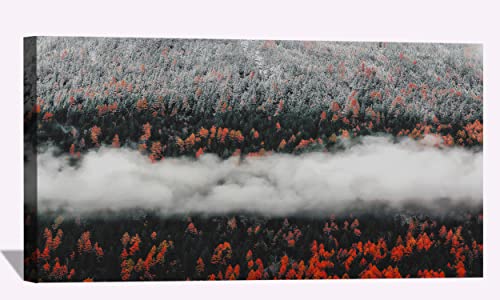 Orange Tress Autumn Forest