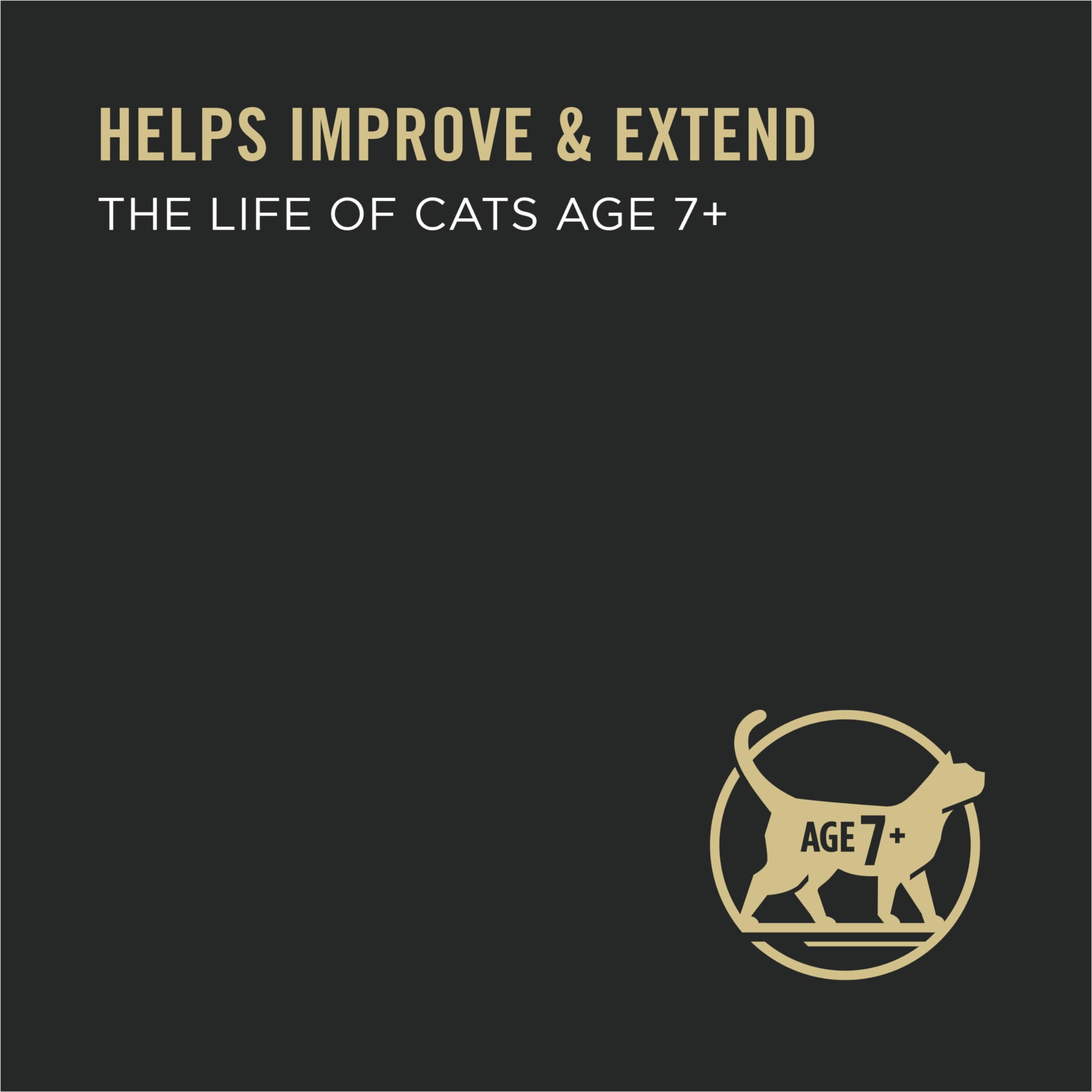 Premium Senior Wet Cat Food for Older Cats - Salmon & Tuna Recipe, 85g (24 Pack) | High-Protein, Easy-to-Digest Meal for Aging Felines - Perfect for Picky Eaters & Cats with Dental Issues