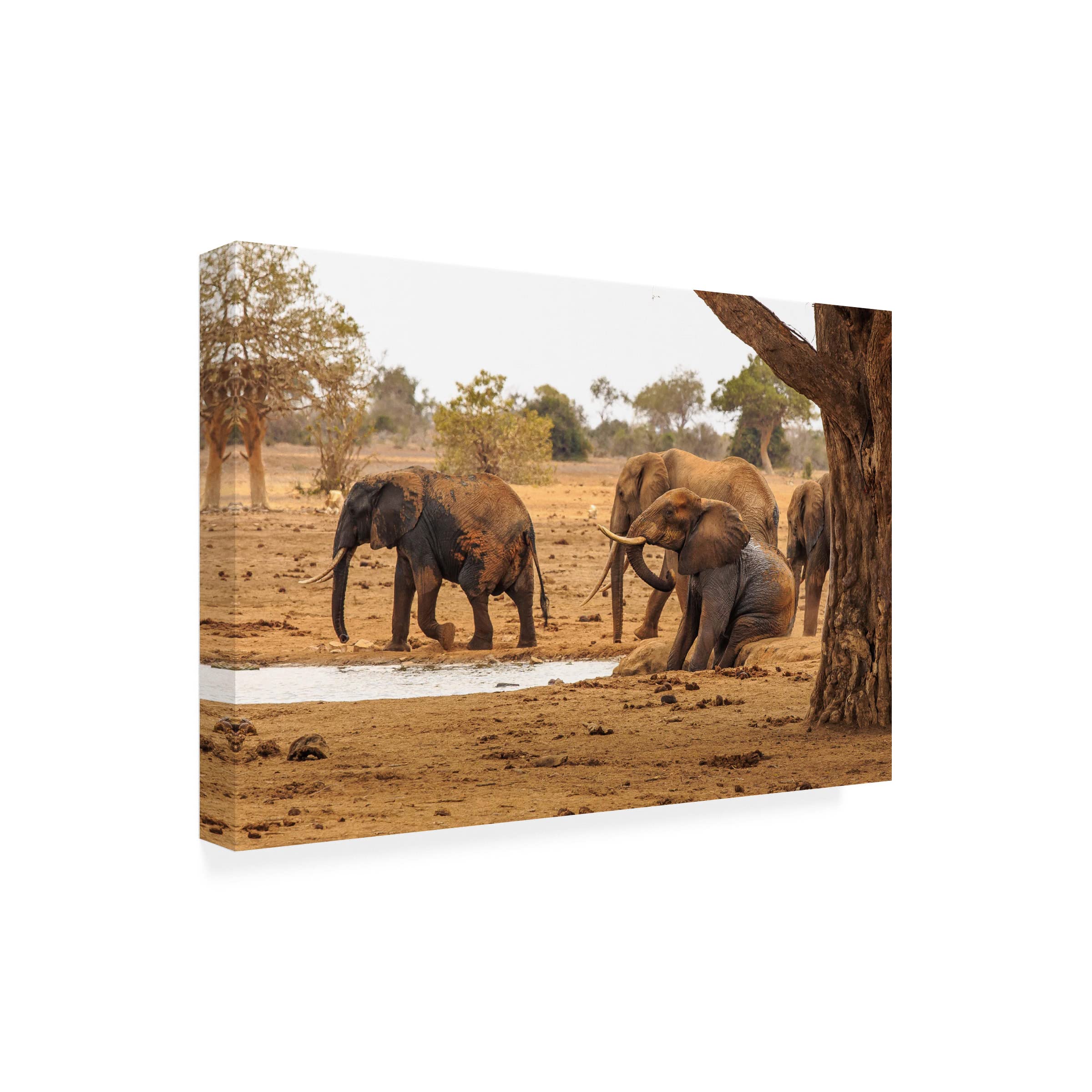 Massimo Mei 'Refreshing' Canvas Art Print - Modern Wall Decor for Living Room, Bedroom & Office - Trademark Fine Art Collection