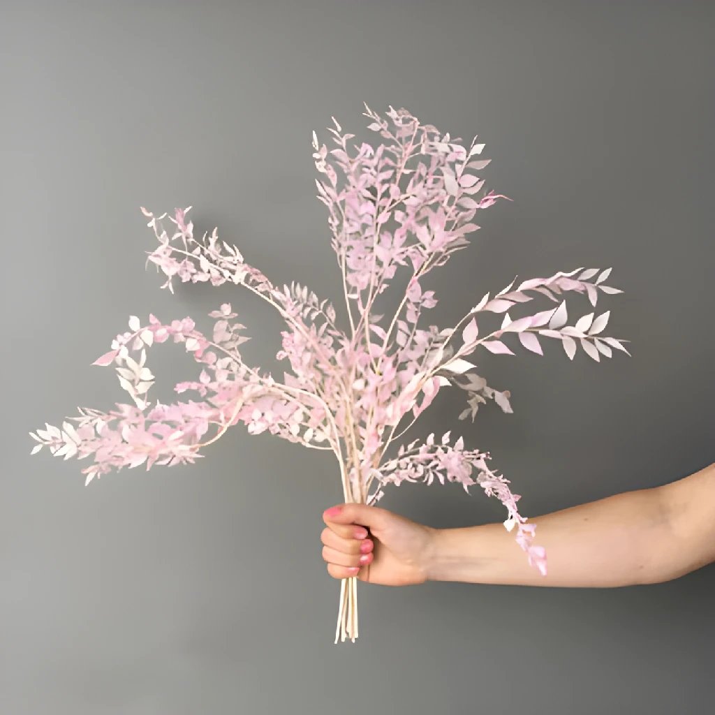 Premium Dried Italian Ruscus - Natural Blush Pink Foliage for Wedding Bouquets, Home Decor & Floral Arrangements