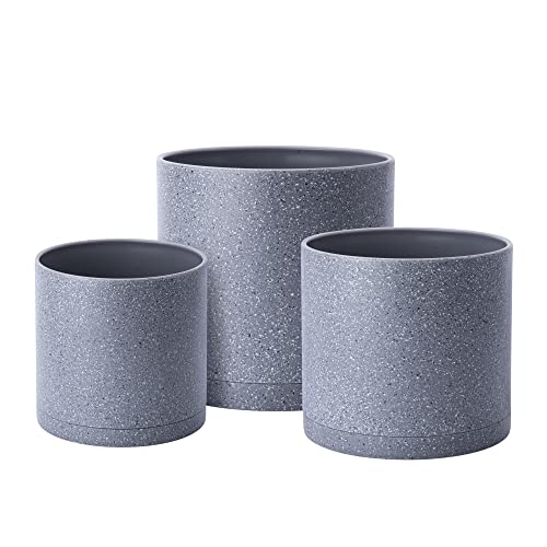 Speckled Gray