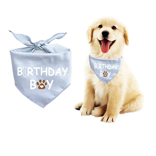 blue(BIRTHDAY BOY)